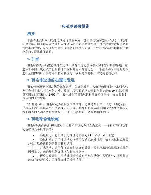 羽毛球调研报告