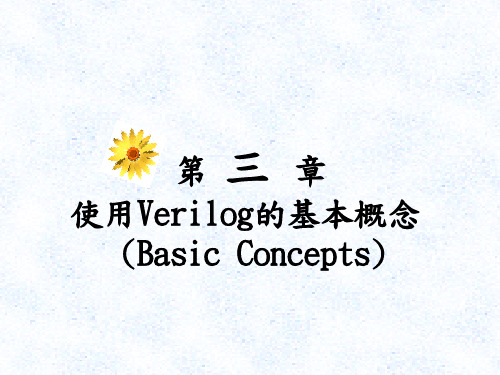 使用Verilog的基本概念