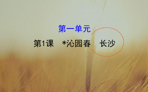 最新-课时讲练通2021学年高中语文必修一配套课件：11沁园春 长沙 精品