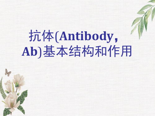 抗体(Antibody,Ab)基本结构和作用