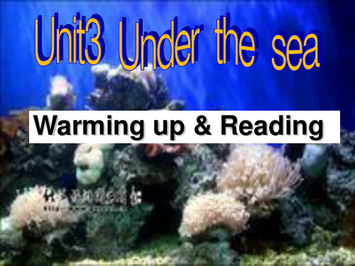 选修七Unit3 under_the_sea Warming up and Reading