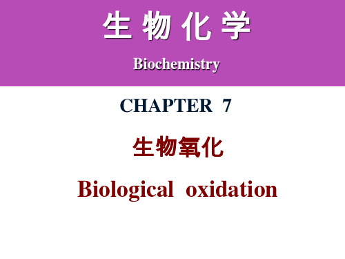 生物化学课件 第六章 生物氧化