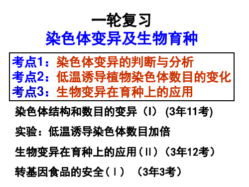 染色体变异及生物育种