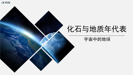 【教学课件】微专题五：化石和地质年代表教学课件