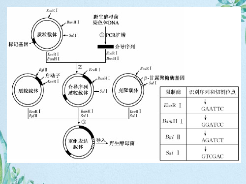 表观遗传学