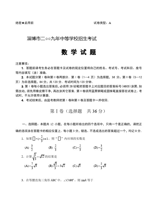 2009年山东淄博(含答案)