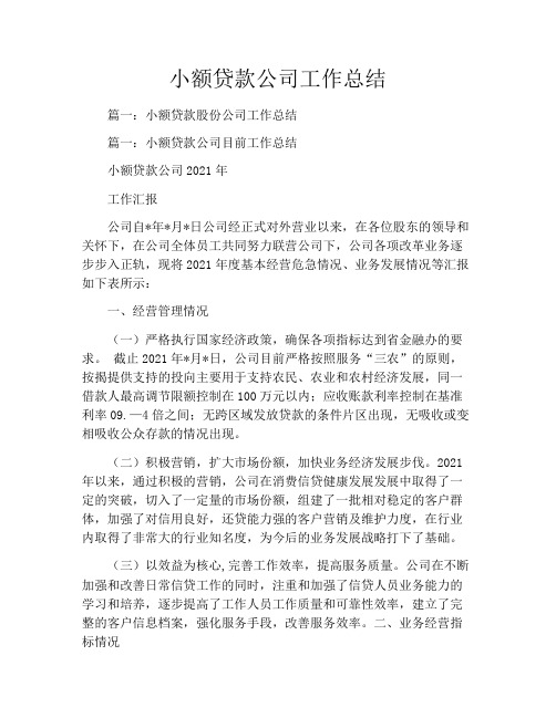 小额贷款公司工作总结