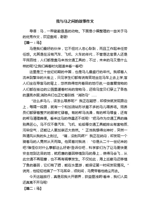 我与马之间的故事作文