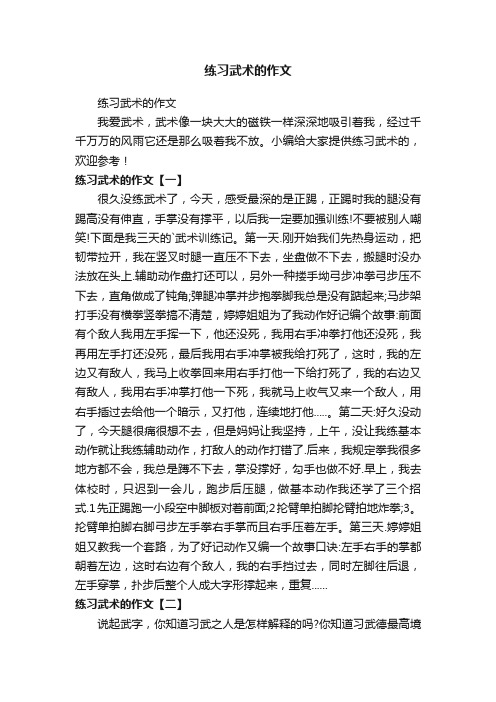 练习武术的作文