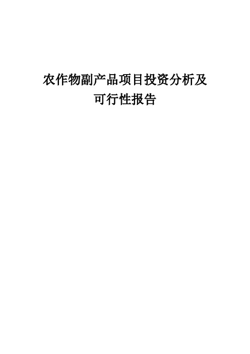 2024年农作物副产品项目投资分析及可行性报告