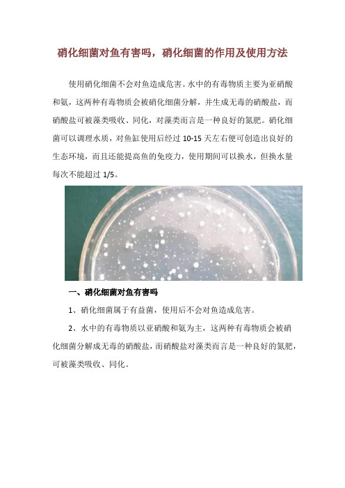 硝化细菌对鱼有害吗,硝化细菌的作用及使用方法