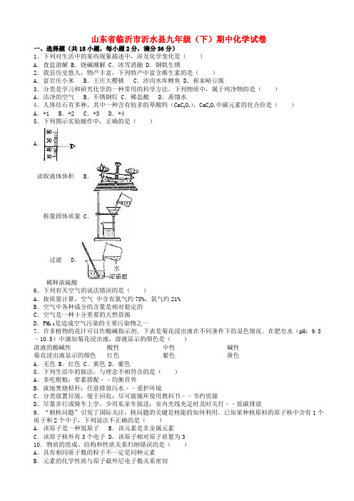 山东省临沂市沂水县九年级化学下学期期中试卷(含解析)_新人教版