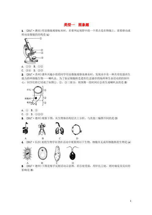 (云南专版)最新2020-2021届中考生物 题型复习 题型一 图表题