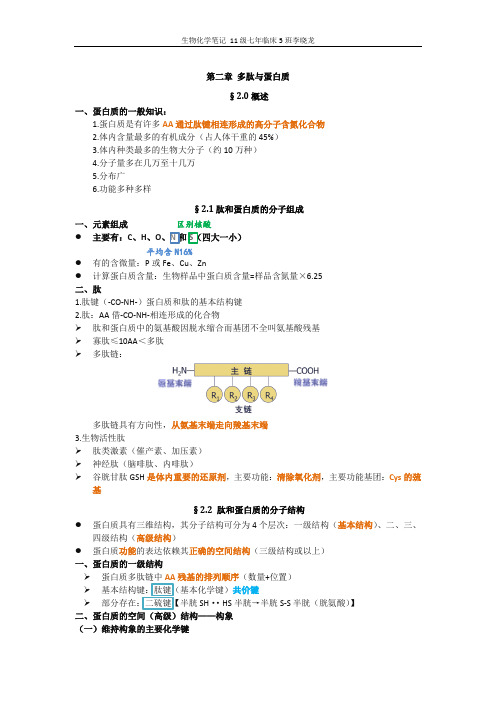 第二章 多肽与蛋白质