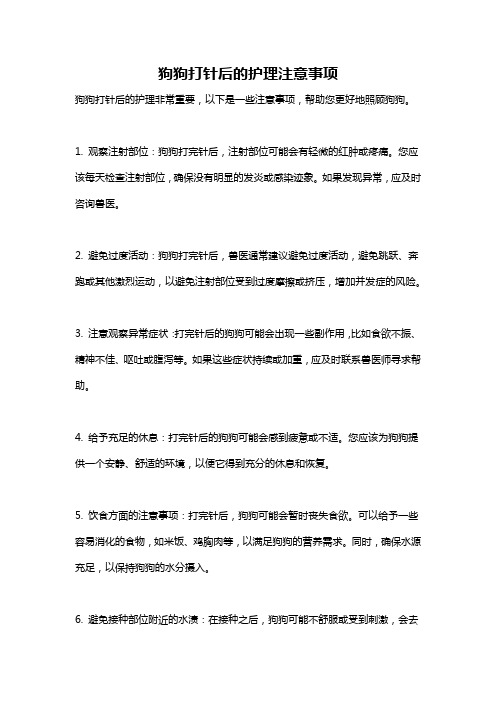 狗狗打针后的护理注意事项