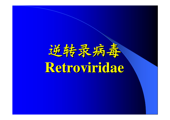 逆转录病毒