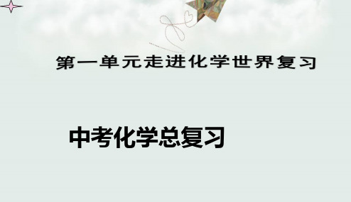 2018年新课标人教版最新版本初中中考_化学总复习450张(专题拔高特训)