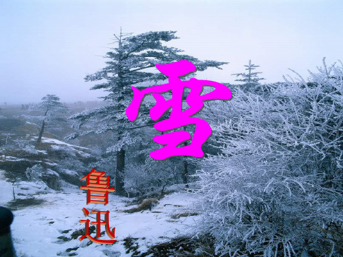 鲁迅《雪》