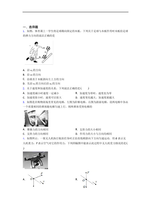 辽宁东北育才双语学校高一 上学期11月质量检测考试(物理)