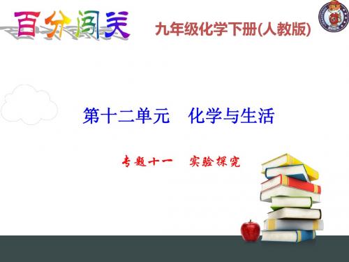百分闯关九年级化学下册(人教)专题十一
