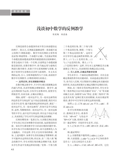 浅谈初中数学的反例教学