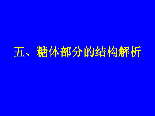 5. 糖体部分的结构解析