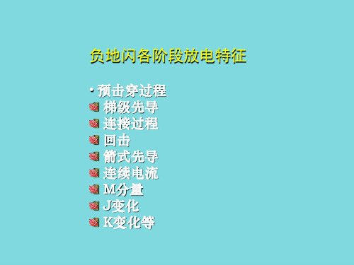 第七章闪电地闪放电过程优秀文档