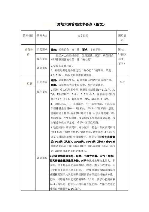 烤烟大田管理技术要点(图文)