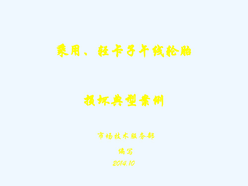 乘用、轻卡子午线轮胎损坏典型案例