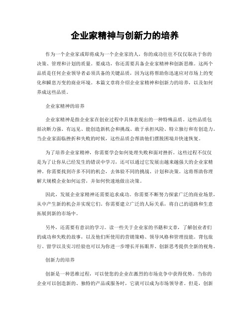 企业家精神与创新力的培养