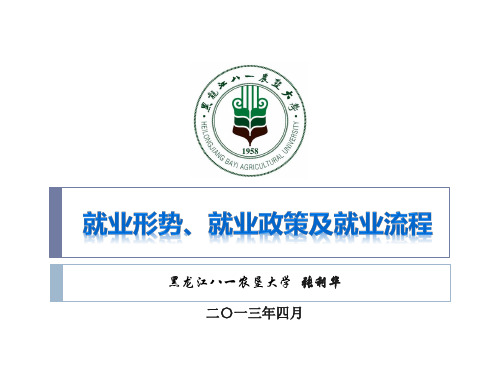 就业形势、就业政策及就业流程