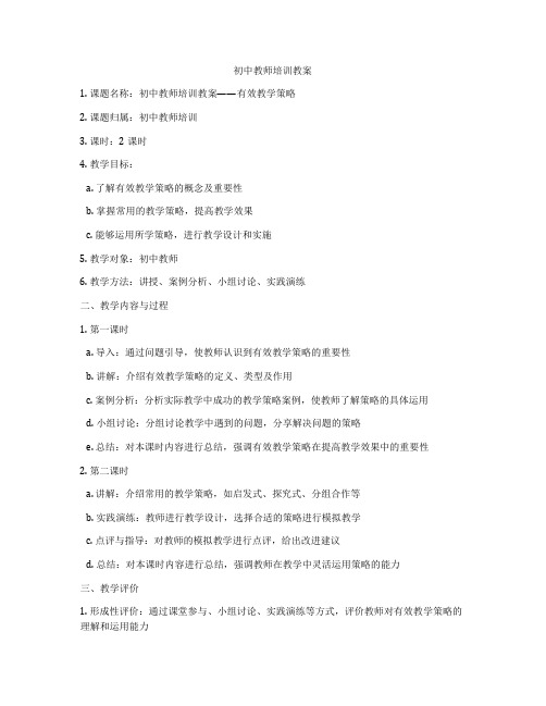 初中教师培训教案