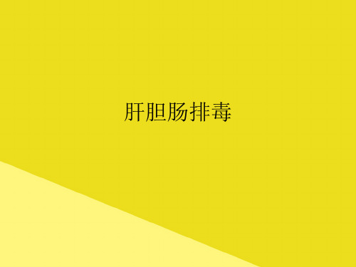 肝胆肠排毒PPP文档(最全版)