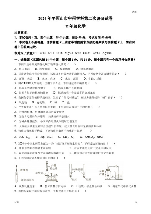 2024河南省平顶山市初三二模化学试题