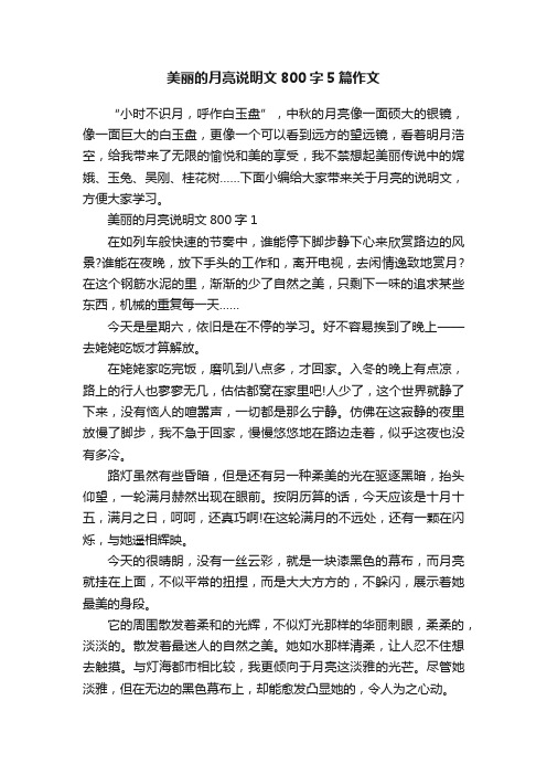 美丽的月亮说明文800字5篇作文