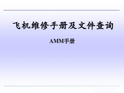 1AMM手册查询