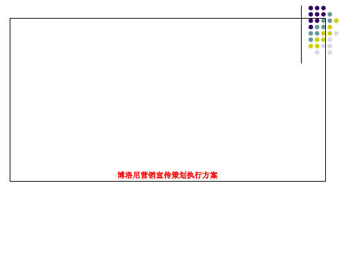 博洛尼营销宣传策划执行方案