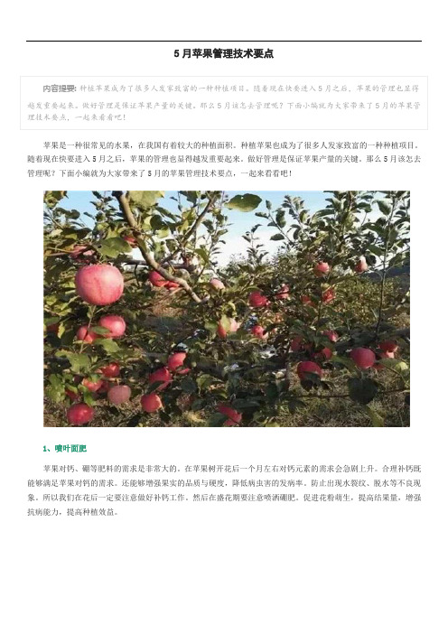 5月苹果管理技术要点