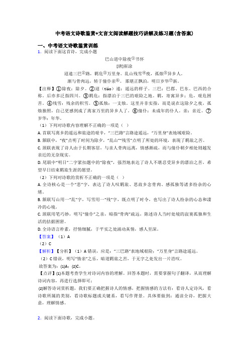 中考语文诗歌鉴赏+文言文阅读解题技巧讲解及练习题(含答案)