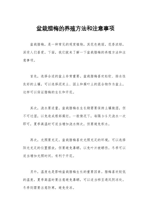 盆栽腊梅的养殖方法和注意事项