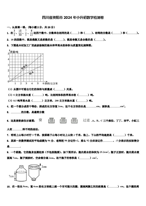 四川省资阳市2024年小升初数学检测卷含解析