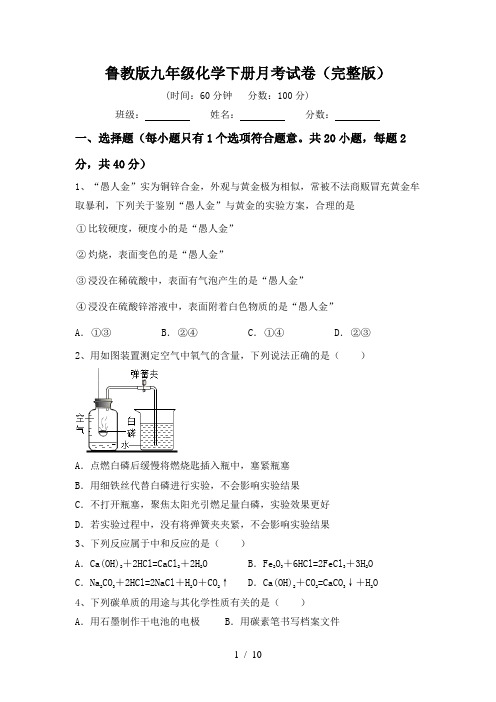 鲁教版九年级化学下册月考试卷(完整版)