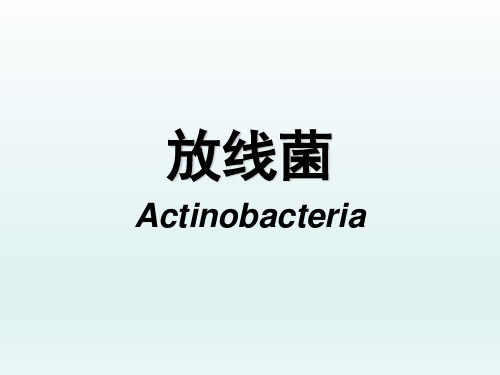 放线菌介绍、特点、临床表现、检查及其防治.PPT