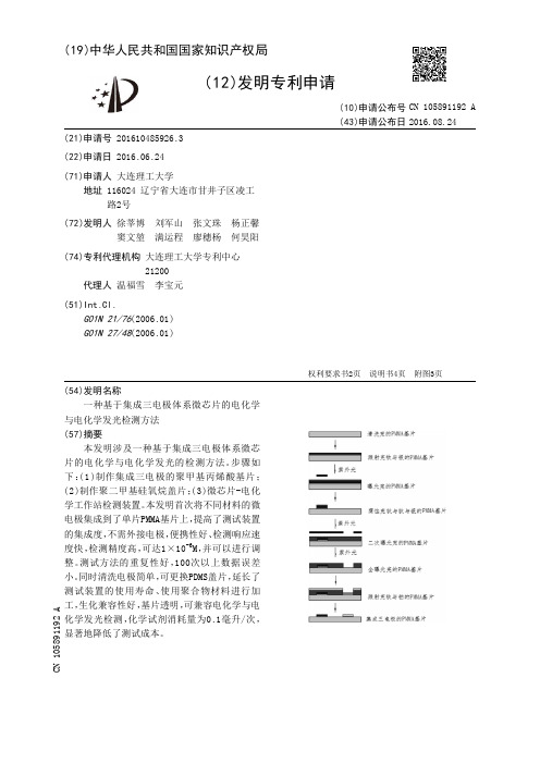 一种基于集成三电极体系微芯片的电化学与电化学发光检测方法[发明专利]