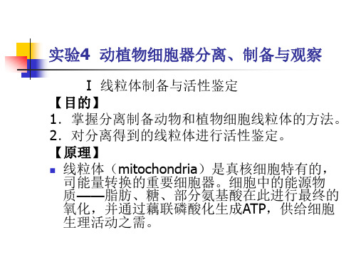 动植物细胞器离心法分离