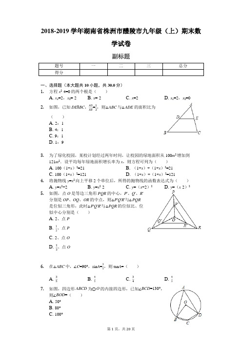 2018-2019学年湖南省株洲市醴陵市九年级(上)期末数学试卷