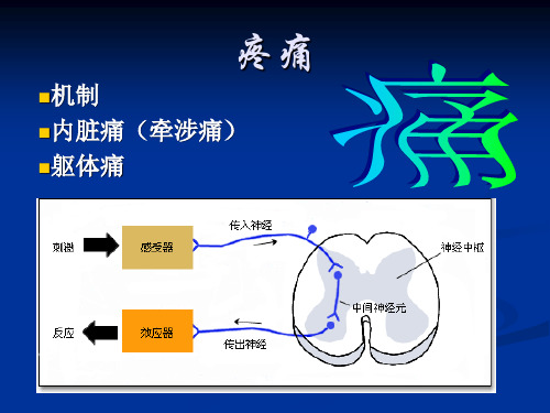 疼痛PBL最终课件