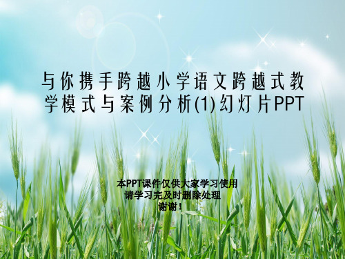 与你携手跨越小学语文跨越式教学模式与案例分析(1)幻灯片PPT