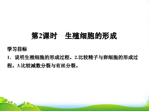 同步备课一体资料之生物苏教必修2课件：第二章 减丝分裂和有性繁殖 第2课时