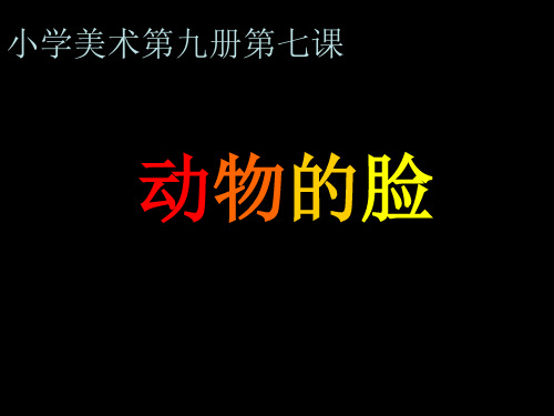 四年级下册美术课件-10动物的脸|人美版(共24张PPT)